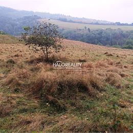 Predaj, pozemok pre rodinný dom 4217 m² Gelnica, Slovenské Cechy - Nad Krížovou - EXKLUZÍVNE HALO REALITY
