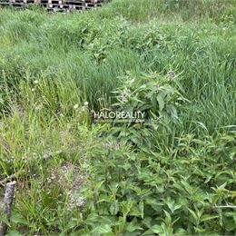 Predaj, pozemok pre rodinný dom 593 m² Prešov, Solivar, pozemok s RD na zbúranie