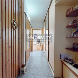 Predaj, dvojizbový byt Rimavská Sobota, Jánošíkova - EXKLUZÍVNE HALO REALITY