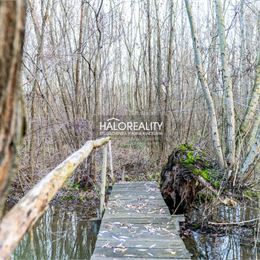 Predaj, rekreačný pozemok Potônske Lúky, pozdĺž Malého Dunaja - EXKLUZÍVNE HALO REALITY + VIDEOOBHLIADKA