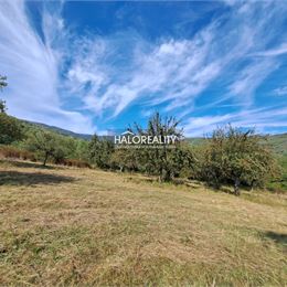 Predaj, pozemok pre rodinný dom 761 m² Kľak, s územným rozhodnutím - EXKLUZÍVNE HALO REALITY