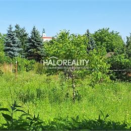 Predaj, rekreačný pozemok Nitra, Investičný pozemok - EXKLUZÍVNE HALO REALITY