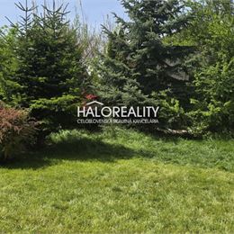 Predaj, pozemok pre rodinný dom 668 m² Košúty - EXKLUZÍVNE HALO REALITY + VIDEOOBHLIADKA