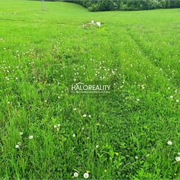Predaj, pozemok pre rodinný dom 744 m² Margecany, časť Pod Horou - EXKLUZÍVNE HALO REALITY