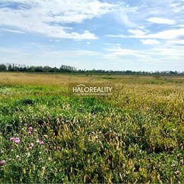 Predaj, pozemok pre rodinný dom 763 m² Štefanovičová - EXKLUZÍVNE HALO REALITY