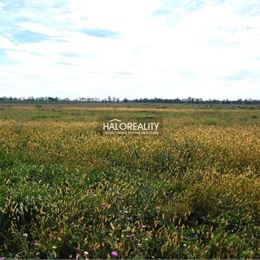 Predaj, pozemok pre rodinný dom 763 m² Štefanovičová - EXKLUZÍVNE HALO REALITY