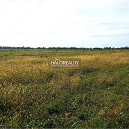 Predaj, pozemok pre rodinný dom 763 m² Štefanovičová - EXKLUZÍVNE HALO REALITY