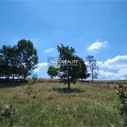 Predaj, pozemok pre rodinný dom 1158 m² Hriňová, Krivec - ZNÍŽENÁ CENA - EXKLUZÍVNE HALO REALITY