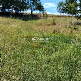 Predaj, pozemok pre rodinný dom 1158 m² Hriňová, Krivec - ZNÍŽENÁ CENA - EXKLUZÍVNE HALO REALITY