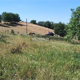 Predaj, pozemok pre rodinný dom 1158 m² Hriňová, Krivec - ZNÍŽENÁ CENA - EXKLUZÍVNE HALO REALITY