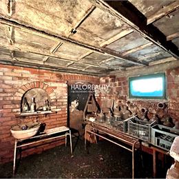 Predaj, chata Levice, pekný záhradný dom s veľkým potenciálom - EXKLUZÍVNE HALO REALITY