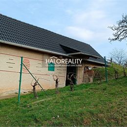 Predaj, rekreačný pozemok Žemberovce, s viničným domčekom - ZNÍŽENÁ CENA - EXKLUZÍVNE HALO REALITY