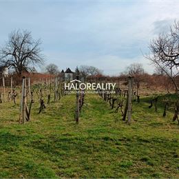 Predaj, rekreačný pozemok Žemberovce, s viničným domčekom - ZNÍŽENÁ CENA - EXKLUZÍVNE HALO REALITY