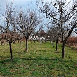 Predaj, rekreačný pozemok Žemberovce, s viničným domčekom - ZNÍŽENÁ CENA - EXKLUZÍVNE HALO REALITY