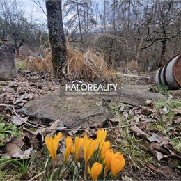 REZERVOVANÉ - Predaj, záhradná chata Banská Bystrica, Záhradkárska osada Na zelenine - EXKLUZÍVNE HALO REALITY
