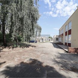 Predaj, polyfunkcia/obchodné priestory Nové Zámky, viacúčelová prevádzková budova - EXKLUZÍVNE HALO REALITY +