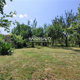 Predaj, rodinný dom Zlaté Moravce - EXKLUZÍVNE HALO REALITY