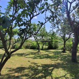 Predaj, rodinný dom Zlaté Moravce - EXKLUZÍVNE HALO REALITY