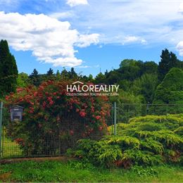 REZERVOVANÉ - Predaj, rodinný dom Nemecká - EXKLUZÍVNE HALO REALITY