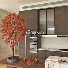 Predaj, trojizbový byt Lužianky, Jaseňová ulica, na prízemí, vlastná záhradka, dve parkovacie státia - VO