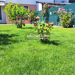 Predaj, jednoizbový byt Senec, záhrada 97m², Marhuľová ul. - EXKLUZÍVNE HALO REALITY