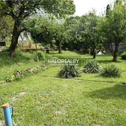 Predaj, chalupa Košice Západ - Terasa