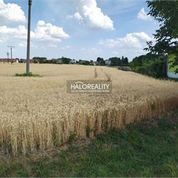 Predaj, pozemok pre rodinný dom 2605 m² Kútniky, Heďbeneéte - EXKLUZÍVNE HALO REALITY