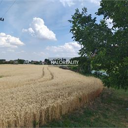 Predaj, pozemok pre rodinný dom 2605 m² Kútniky, Heďbeneéte - EXKLUZÍVNE HALO REALITY