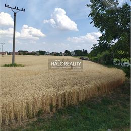 Predaj, pozemok pre rodinný dom 2605 m² Kútniky, Heďbeneéte - EXKLUZÍVNE HALO REALITY