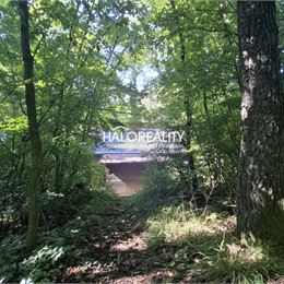 Predaj, chata Buková, lokalita Hrudky, pozemok 390 m²