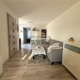 Predaj, rodinný dom Šurany, rodinný dom s hosťovským domčekom - EXKLUZÍVNE HALO REALITY