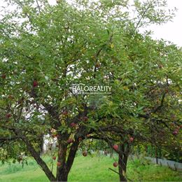 Predaj, rodinný dom Čermany - EXKLUZÍVNE HALO REALITY