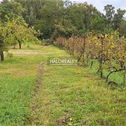 Predaj, rodinný dom Bojničky