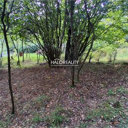Predaj, pozemok pre rodinný dom 452 m² Zlatá Idka - EXKLUZÍVNE HALO REALITY
