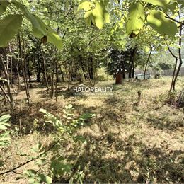 Predaj, pozemok pre rodinný dom 452 m² Zlatá Idka - EXKLUZÍVNE HALO REALITY
