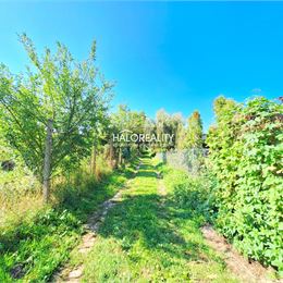 Predaj, záhradný pozemok 875 m² Svätý Jur, Záhrada - EXKLUZÍVNE HALO REALITY