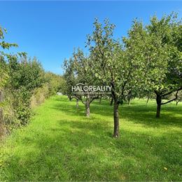 Predaj, pozemok pre rodinný dom 5069 m² Plavé Vozokany, Medvecké