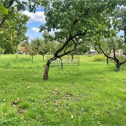 Predaj, pozemok pre rodinný dom 5069 m² Plavé Vozokany, Medvecké