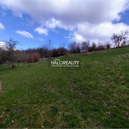 Predaj, rodinný dom Krupina, Havran - ZNÍŽENÁ CENA - EXKLUZÍVNE HALO REALITY