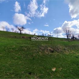 Predaj, rodinný dom Krupina, Havran - ZNÍŽENÁ CENA - EXKLUZÍVNE HALO REALITY