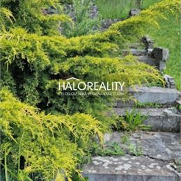 Predaj, záhradná chata Krupina, 371 m - EXKLUZÍVNE HALO REALITY