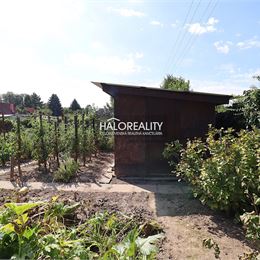 Predaj, záhradná chata Nové Zámky, Tekvičné pole - EXKLUZÍVNE HALO REALITY