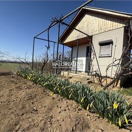 Predaj, záhradná chata Brodzany, pozemok 700 m² - EXKLUZÍVNE HALO REALITY