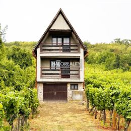 Predaj, chata Kamenný Most, viničný domček s vinicou na pozemku o rozlohe 3449 m² - ZNÍŽENÁ CENA - EXKLUZÍVNE