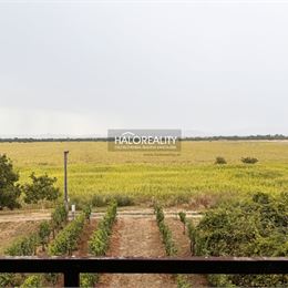 Predaj, chata Kamenný Most, viničný domček s vinicou na pozemku o rozlohe 3449 m² - ZNÍŽENÁ CENA - EXKLUZÍVNE