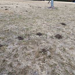 Predaj, rekreačný pozemok Nálepkovo, Zahájnická cesta 1050 m² - EXKLUZÍVNE HALO REALITY