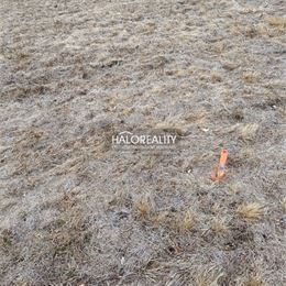 Predaj, rekreačný pozemok Nálepkovo, Zahájnická cesta 1050 m² - EXKLUZÍVNE HALO REALITY