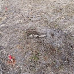 Predaj, rekreačný pozemok Nálepkovo, Zahájnická cesta 1050 m² - EXKLUZÍVNE HALO REALITY