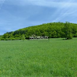 Predaj, rekreačný pozemok Ostrý Grúň - EXKLUZÍVNE HALO REALITY