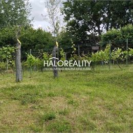 Predaj, rekreačný pozemok Krupina, Stará hora, povolenie stavby - EXKLUZÍVNE HALO REALITY